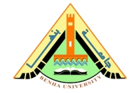 الدورات التدريبية للسادةأعضاء هيئة التدريس والهيئة المعاونةبمركز القياس والتقويم بجامعة بنها لشهر مايو ٢٠٢٥م